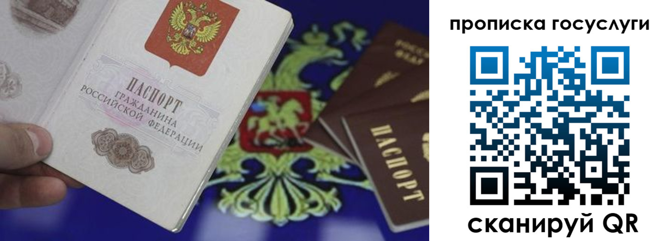 прописка для школы в Купино